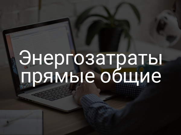 Энергозатраты прямые общие