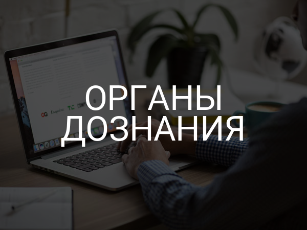 Органы дознания