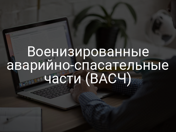 Военизированные аварийно-спасательные части (ВАСЧ)