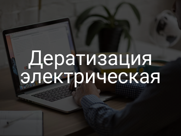 Дератизация электрическая