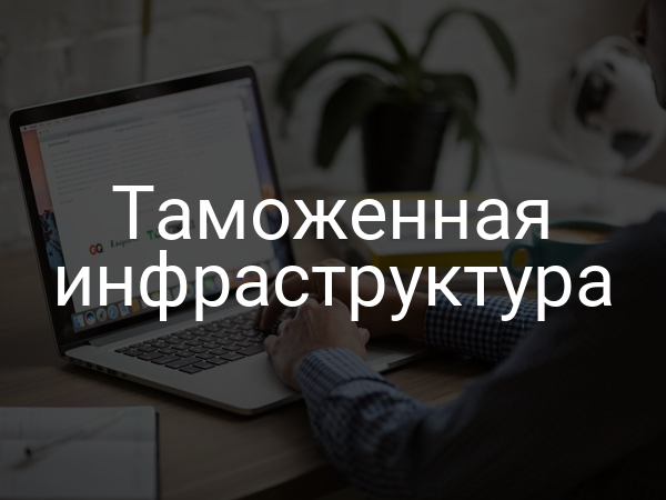 Таможенная инфраструктура