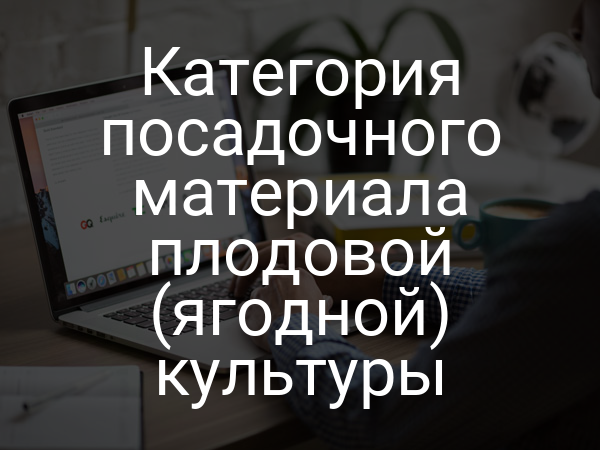 Категория посадочного материала плодовой (ягодной) культуры