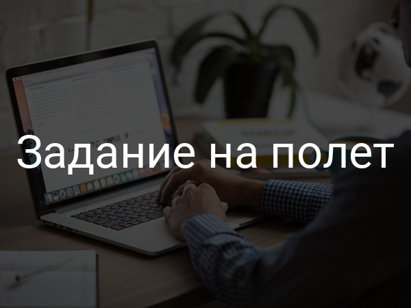Задание на полет