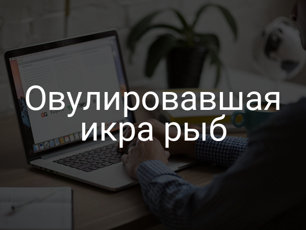 Овулировавшая икра рыб