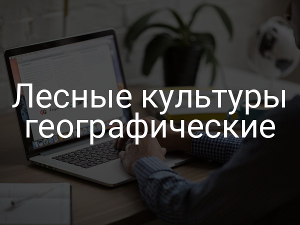 Лесные культуры географические