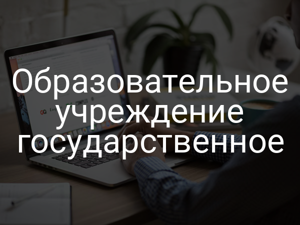 Образовательное учреждение государственное