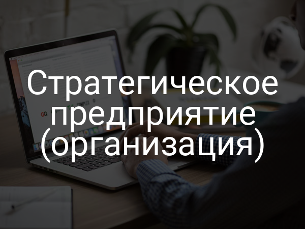 Стратегическое предприятие (организация)