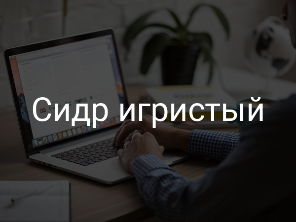 Сидр игристый