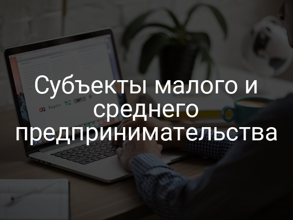 Субъекты малого и среднего предпринимательства