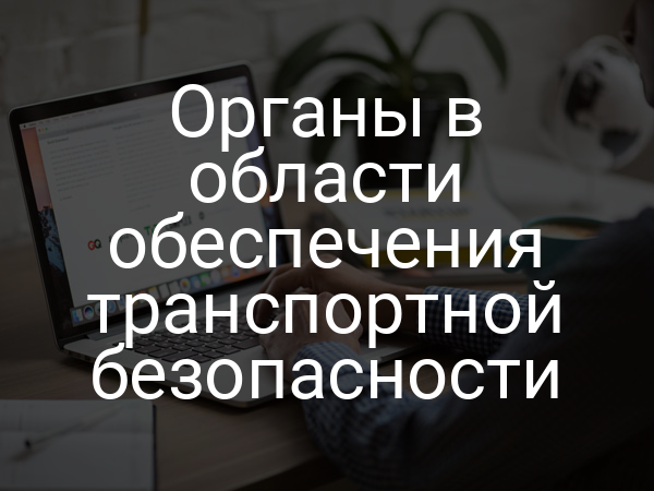 Органы в области обеспечения транспортной безопасности