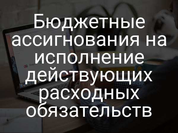 Бюджетные ассигнования на исполнение действующих расходных обязательств