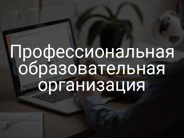 Профессиональная образовательная организация