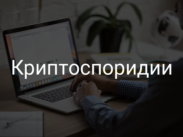 Криптоспоридии