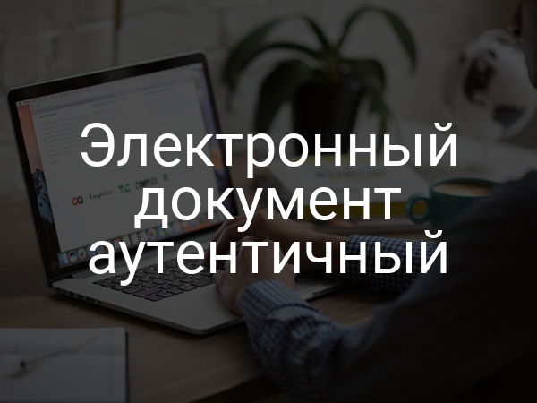 Электронный документ аутентичный