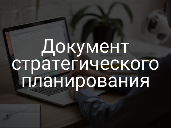 Документ стратегического планирования