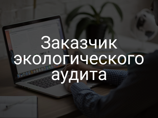 Заказчик экологического аудита