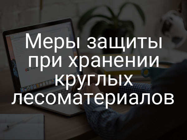 Меры защиты при хранении круглых лесоматериалов