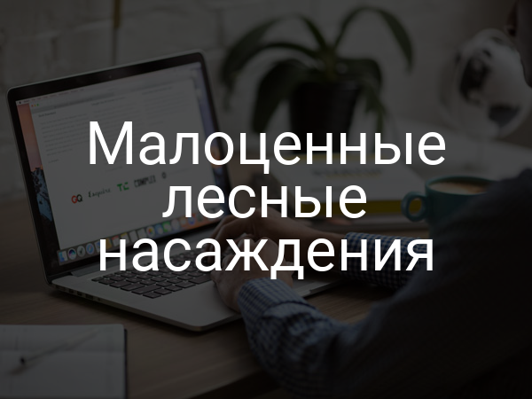 Малоценные лесные насаждения