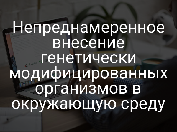 Непреднамеренное внесение генетически модифицированных организмов в окружающую среду