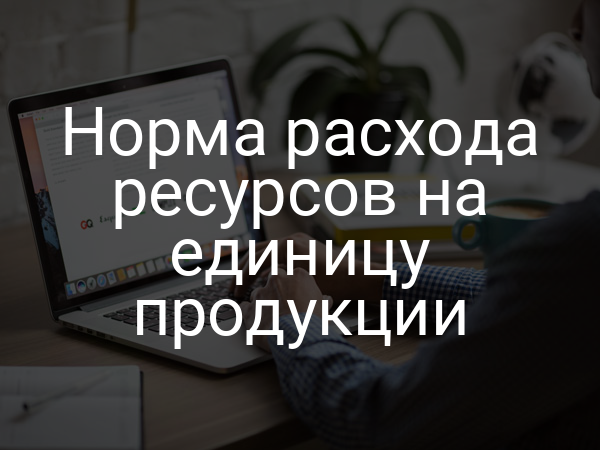 Норма расхода ресурсов на единицу продукции