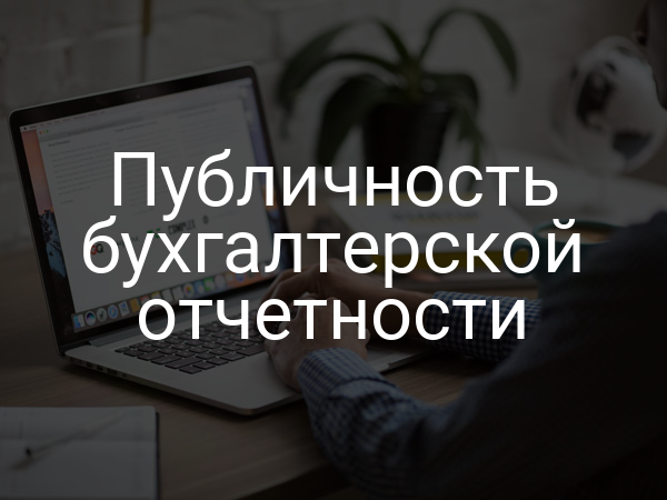 Публичность бухгалтерской отчетности