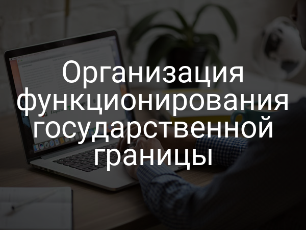 Организация функционирования государственной границы