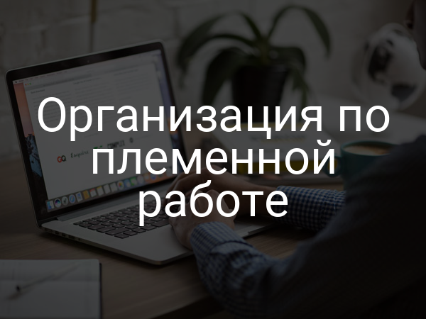 Организация по племенной работе
