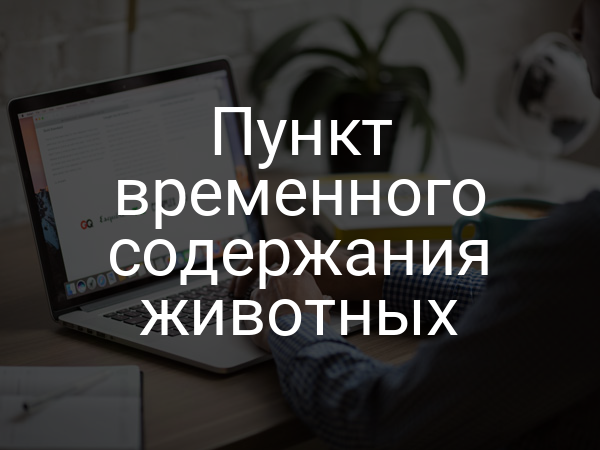 Пункт временного содержания животных