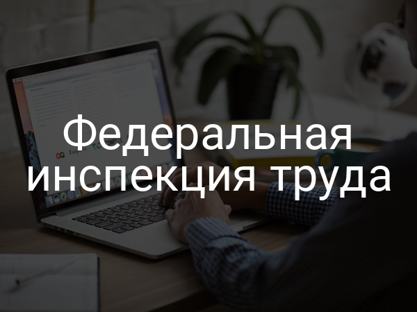 Федеральная инспекция труда