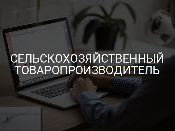 Сельскохозяйственный товаропроизводитель