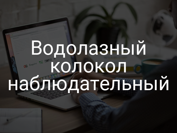 Водолазный колокол наблюдательный