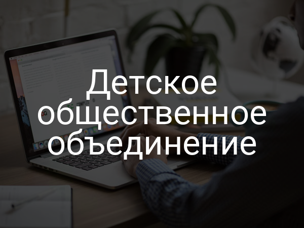 Детское общественное объединение