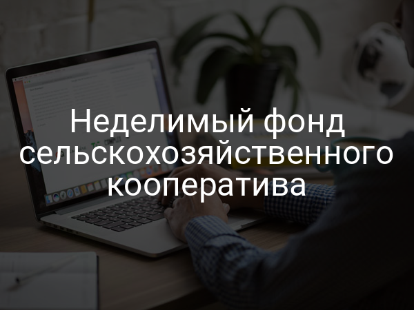 Неделимый фонд сельскохозяйственного кооператива