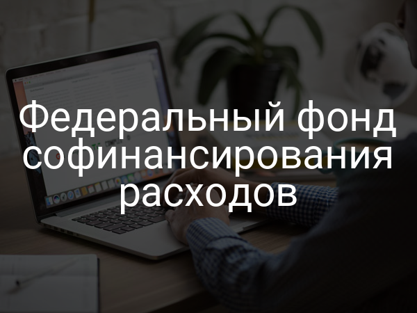 Федеральный фонд софинансирования расходов