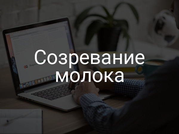 Созревание молока