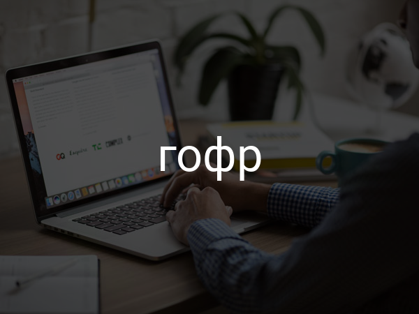 Гофр
