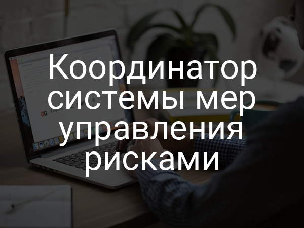 Координатор системы мер управления рисками