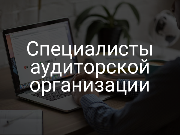 Специалисты аудиторской организации