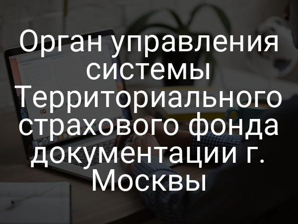 Орган управления системы Территориального страхового фонда документации г. Москвы
