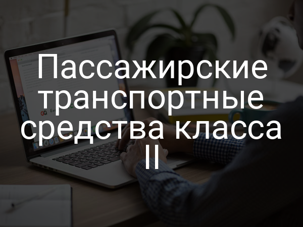Пассажирские транспортные средства класса II