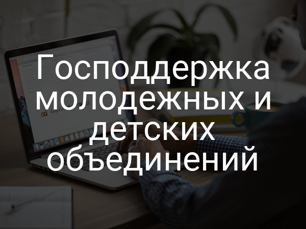 Господдержка молодежных и детских объединений