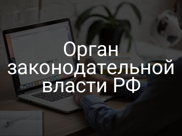 Орган законодательной власти РФ