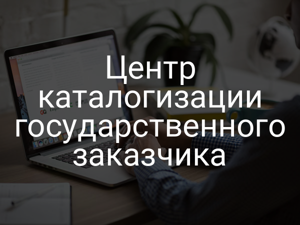 Центр каталогизации государственного заказчика