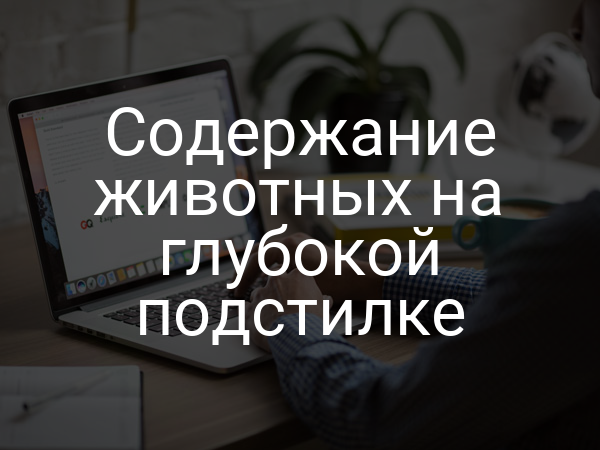 Содержание животных на глубокой подстилке