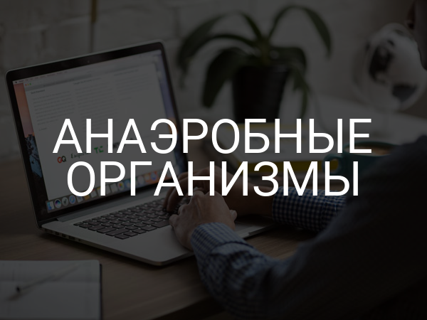 Анаэробные организмы