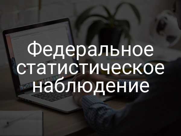 Федеральное статистическое наблюдение