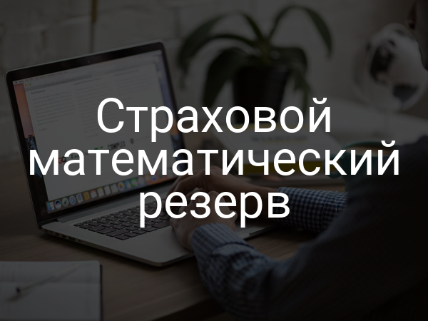Страховой математический резерв