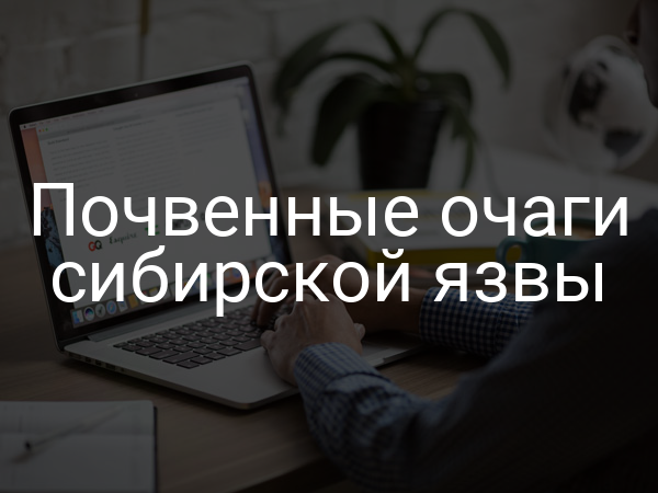 Почвенные очаги сибирской язвы