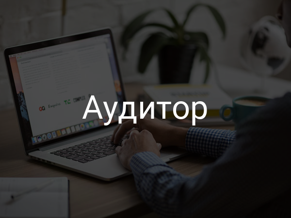 Аудитор
