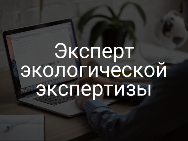 Эксперт экологической экспертизы